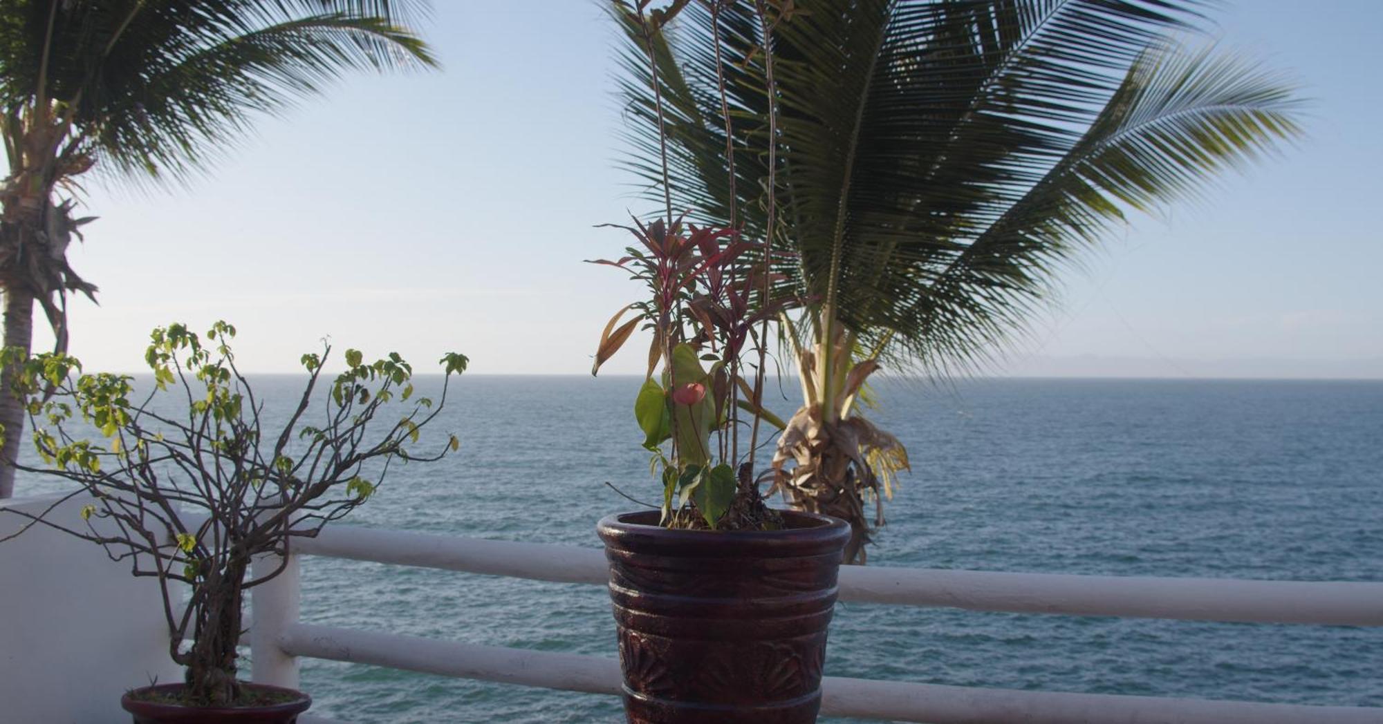 Traditional Sierra Leon Oceanfront Rooms - Adults Only Puerto Vallarta Ngoại thất bức ảnh